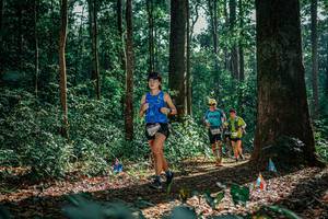 BIB: 
                            <button type="button" onclick="openModal(26130822)" class="btn btn-primary btn-sm float-right btn-popup" data-toggle="modal" data-target=".modal-high-quality">
                        <i class="fas fa-shopping-cart"></i> Add to Cart
                    </button>
                                            <button type="button" onclick="isThisMe(26130822, true)" class="btn btn-success btn-sm float-right btn-popup btn-isme hidden" data-toggle="tooltip" data-placement="bottom" title="นี่คือรูปของคุณใช่ไหม คลิกที่นี่เพื่อเอาเข้าอัลบั้ม">
                        <i class="fas fa-plus"></i> Add to album
                    </button>
                    <button type="button" onclick="isThisMe(26130822, false)" class="btn btn-warning btn-sm float-right btn-popup btn-isnotme hidden">
                        <i class="fas fa-ban"></i> Remove from album
                    </button>